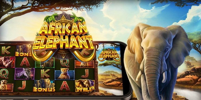 Alasan Slot African Elephant Menjadi Favorit Pemain